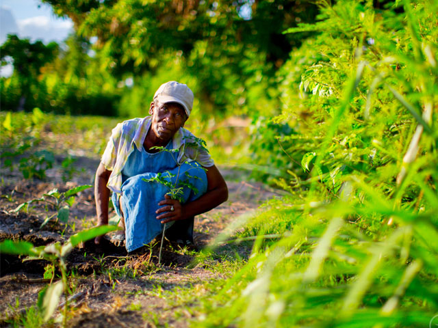 one tree planted csr partner image 1