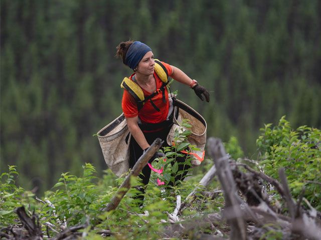 one tree planted csr partner image 6