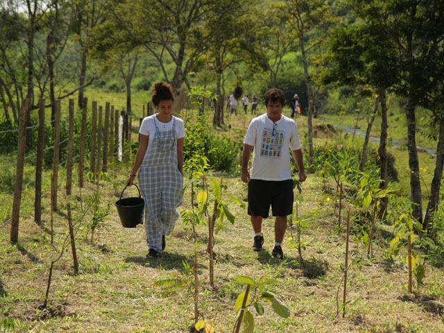one tree planted csr partner image 7